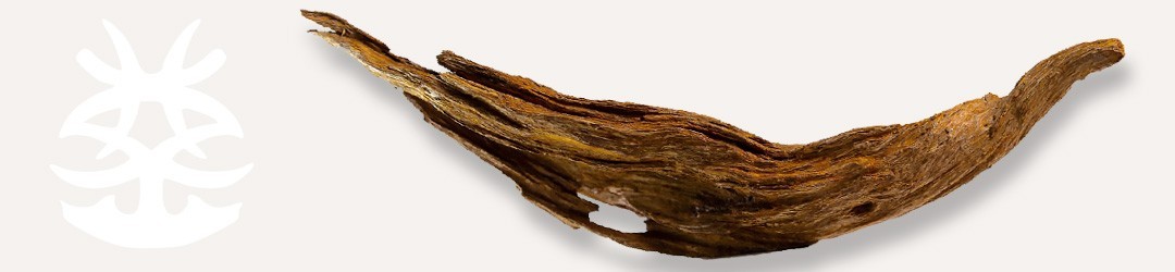 Agarwood